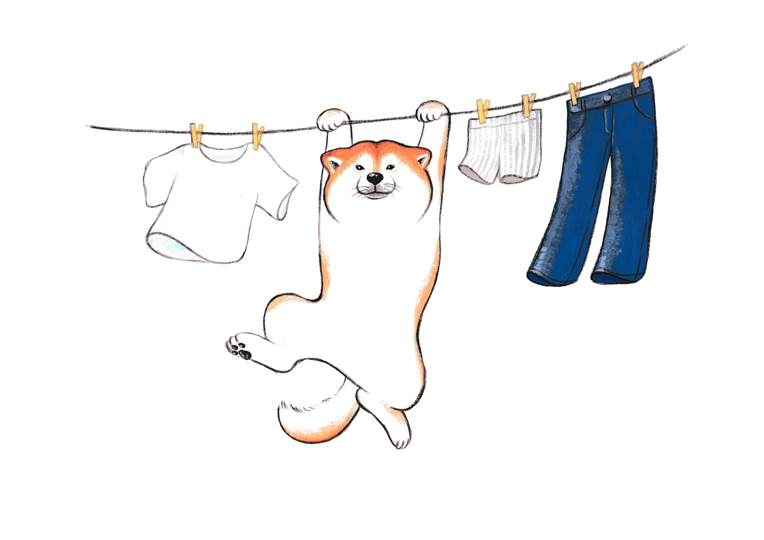 可愛い柴犬のイラスト